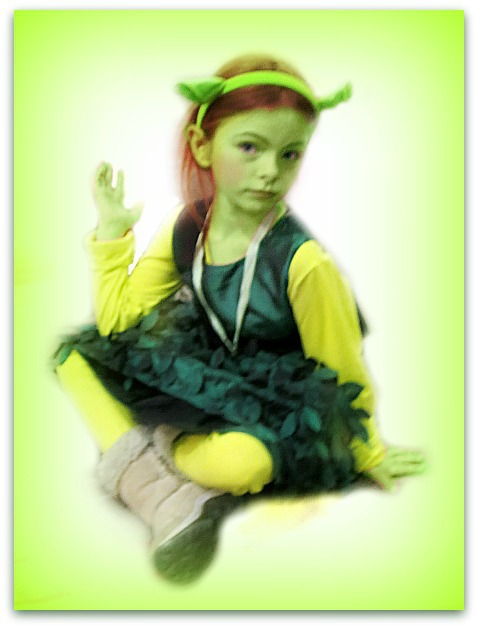 Shrek (7)