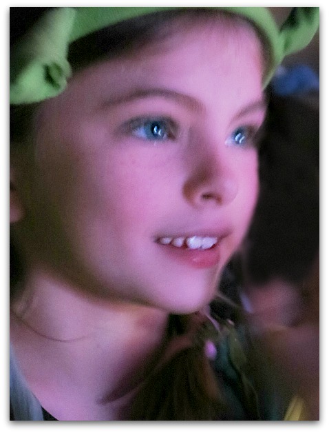 Shrek (24)