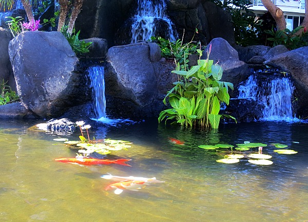 Hawaiimaui 109