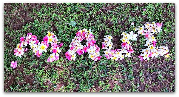 Hawaiimaui 032