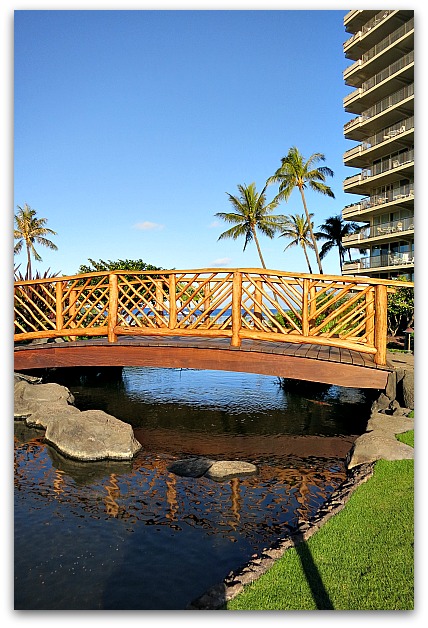 Hawaiimaui 008