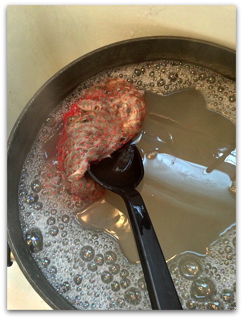Spoon