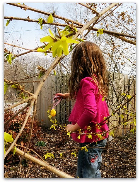 Egg tree 074