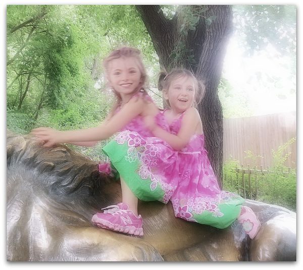 Zoo 060