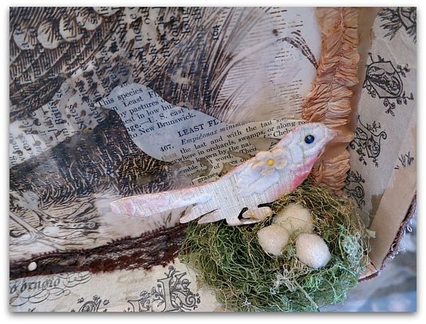 Eggs 025