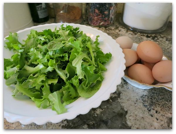 Egg tree 035