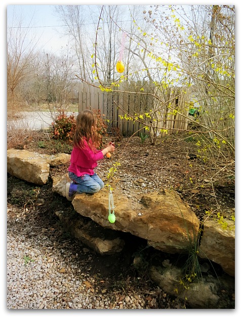 Egg tree 071