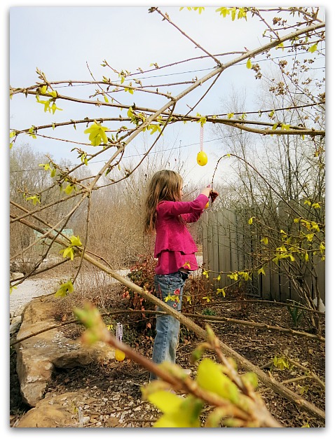 Egg tree 079