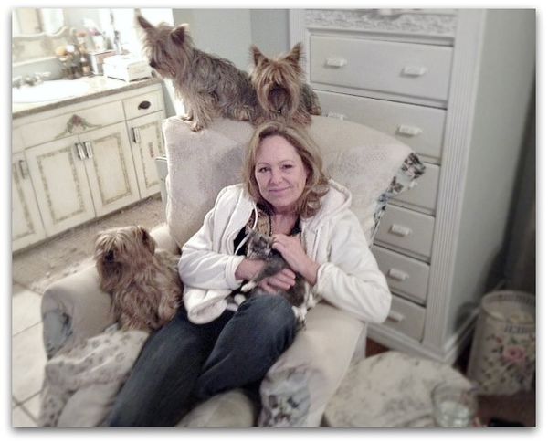 Catsdogs