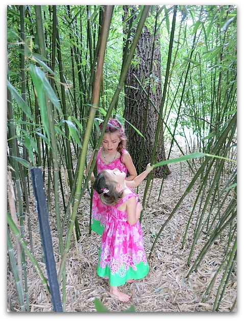 Zoo 083