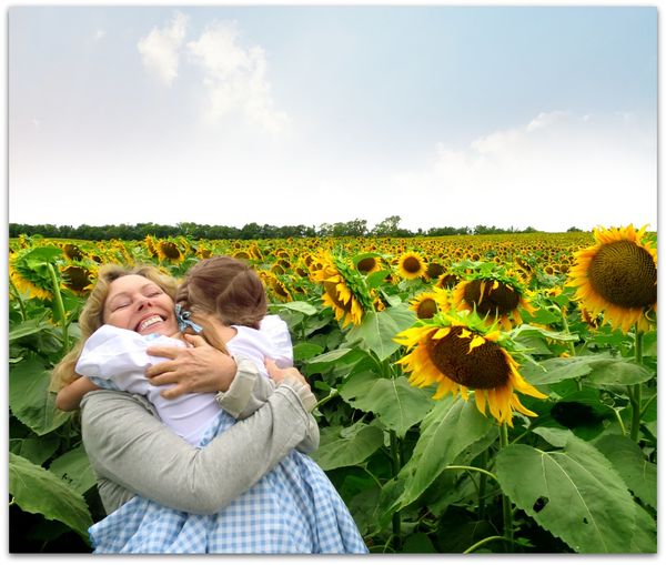 Sundlowers 031
