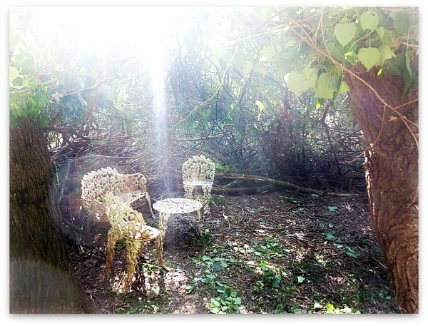 Fairy house 016