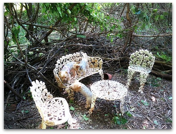 Fairy house 012
