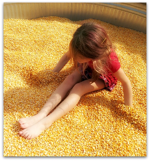 Cornbin 003