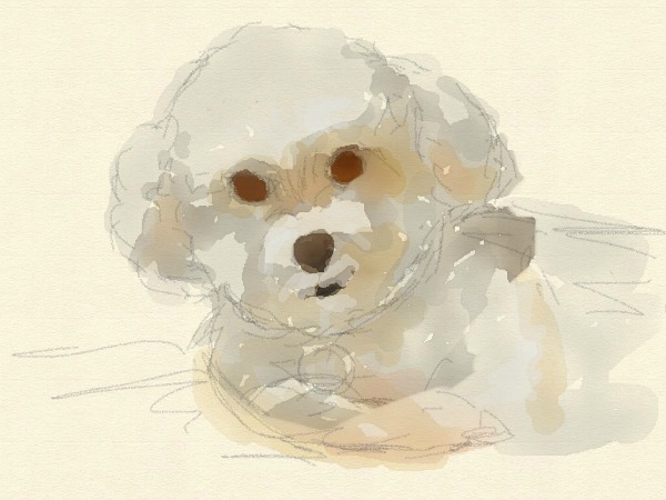 Photo (2)
