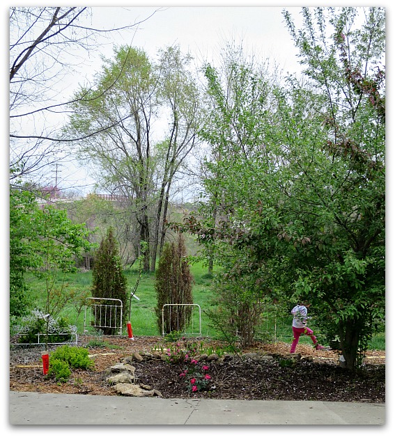 Yardwork 019
