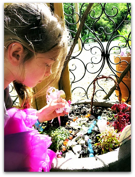 Fairy garden 001