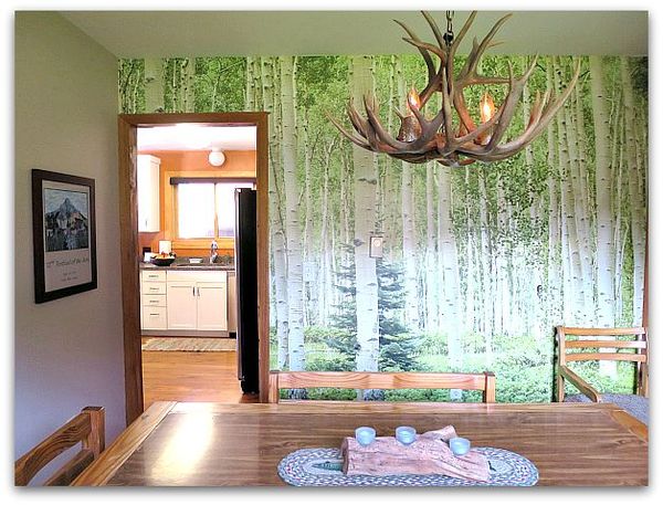 Crested butte 037