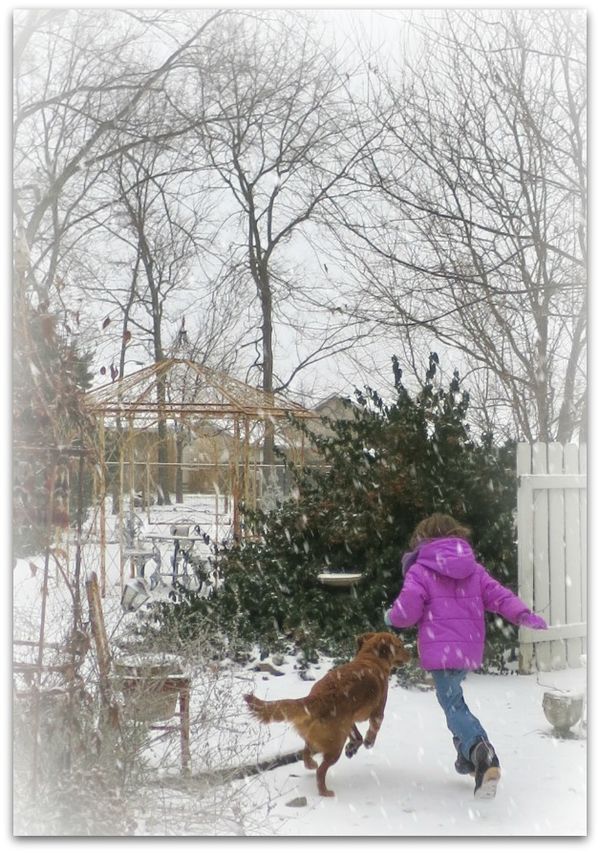First snow 005
