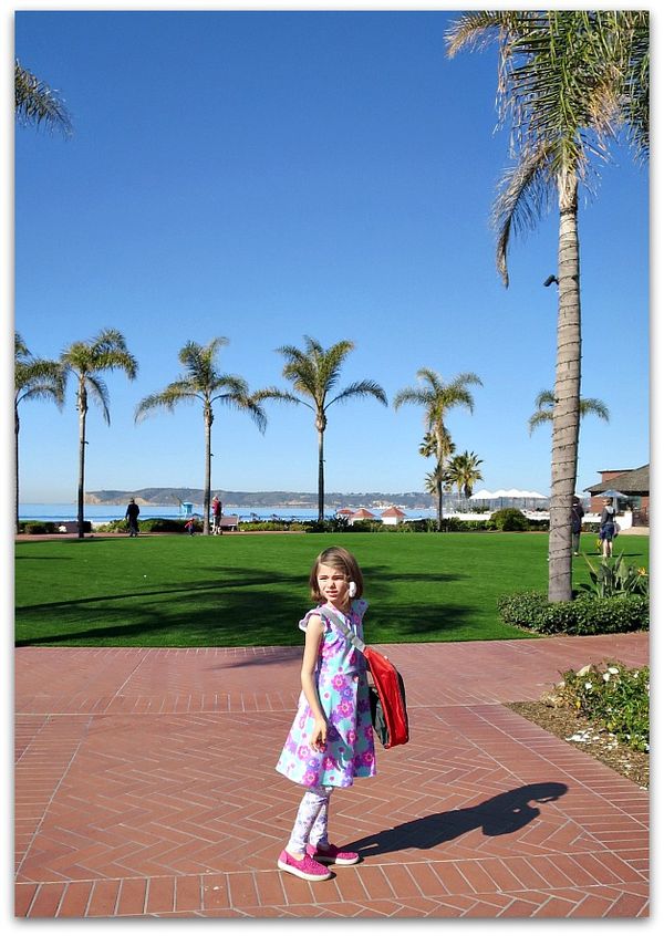 Del coronado 156