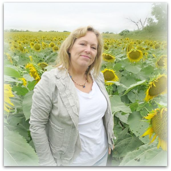 Sundlowers 036