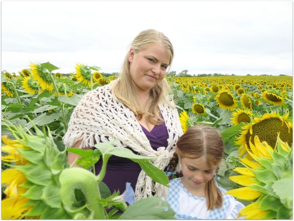 Sundlowers 040