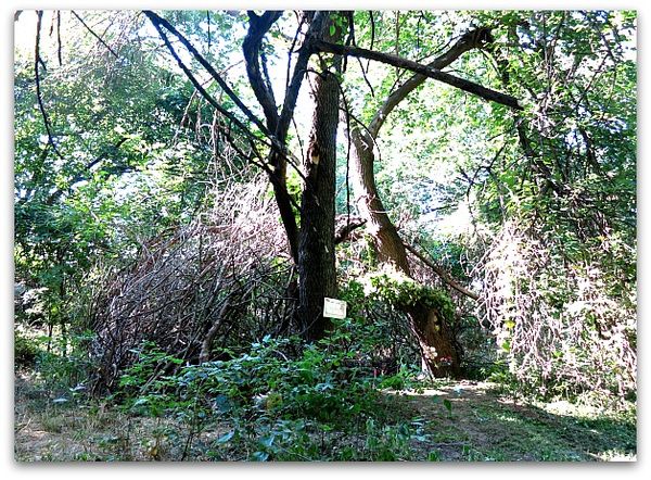 Fairy house 003