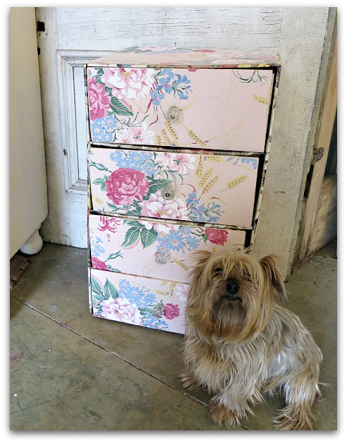 Drawer 003