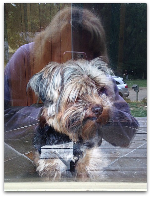 Photo (11)