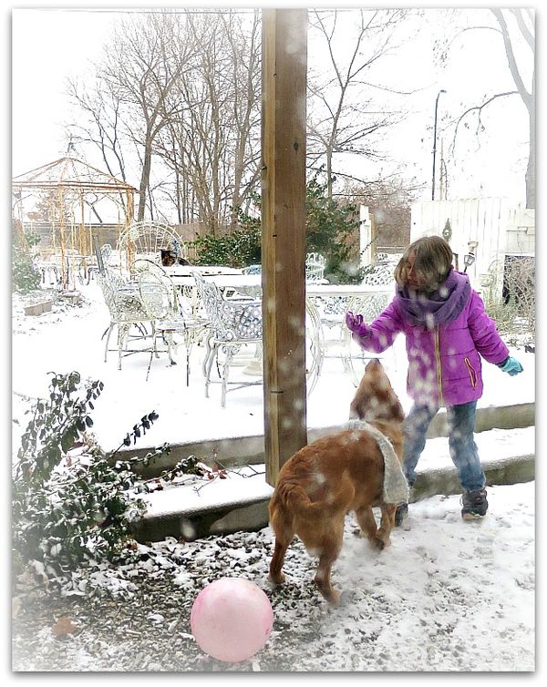 First snow 014