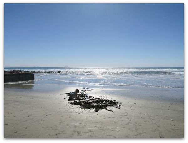 Del coronado 172