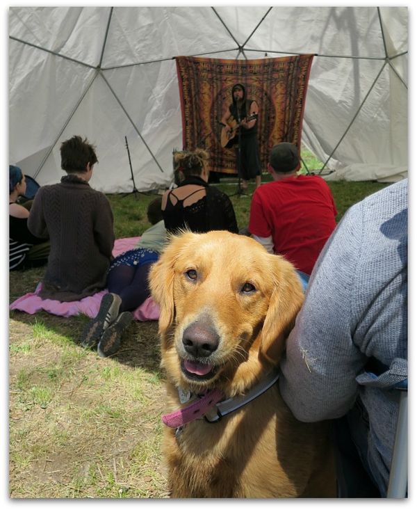 Sacred circus 269