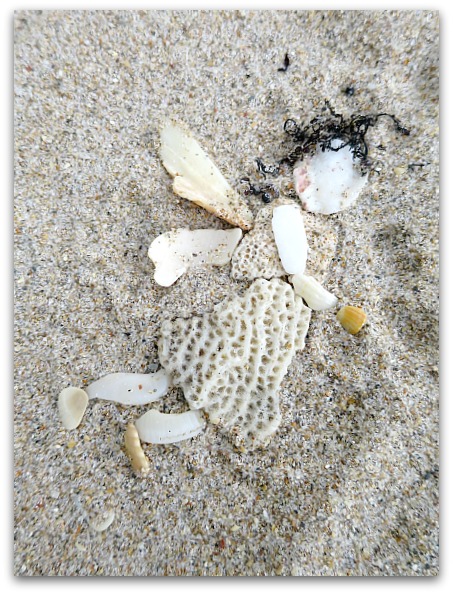 Ftlauderdale 117 (2)