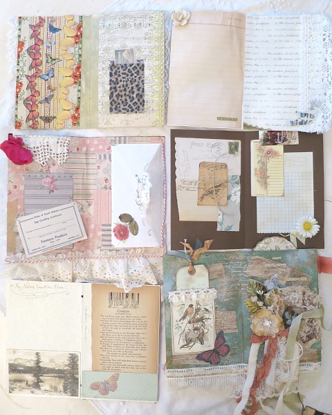 Pages and pages 013