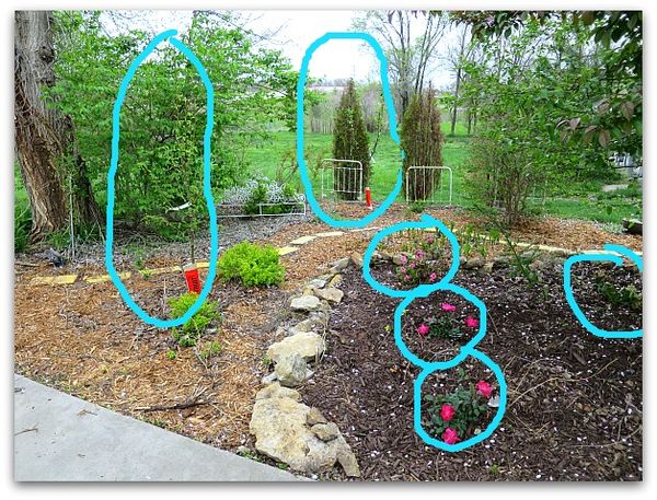 Yardwork 002