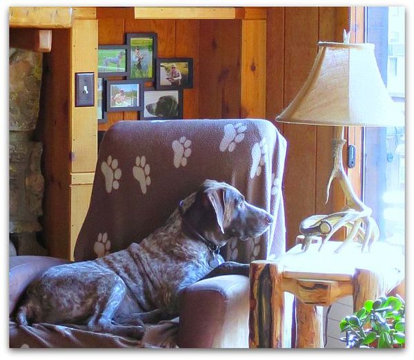 Crested butte 035