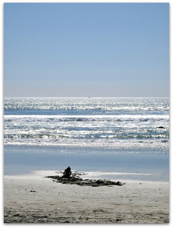 Del coronado 183