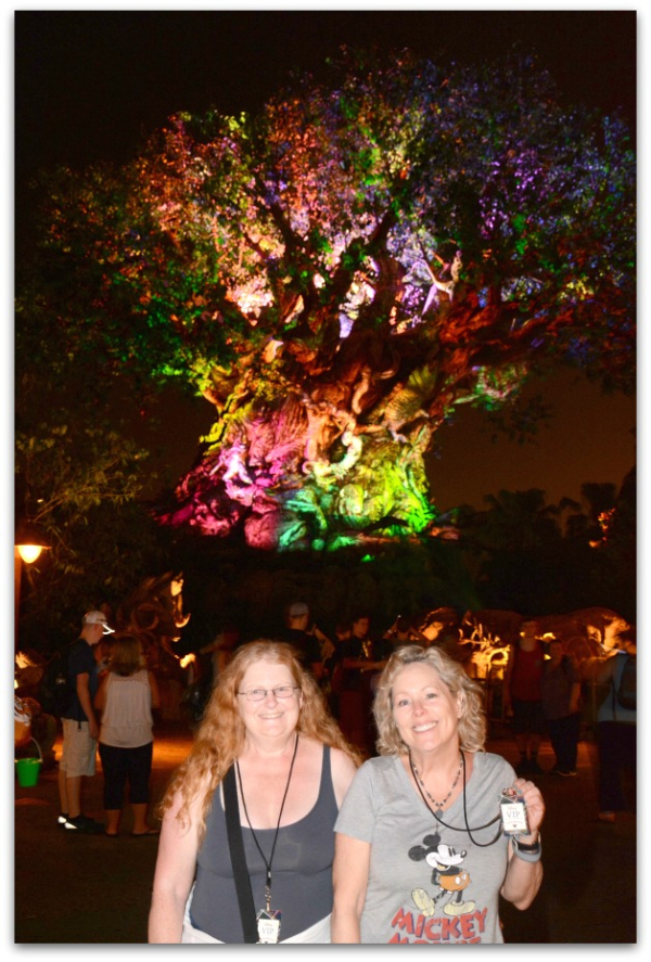 PhotoPass_Visiting_AK_410910826435
