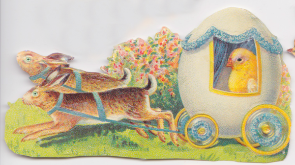 Bunny