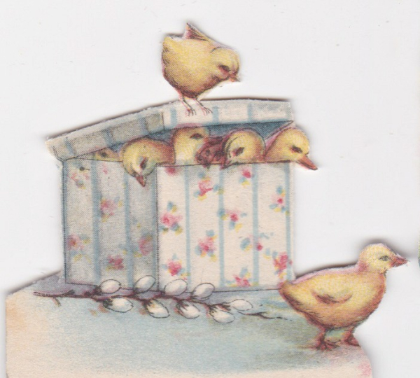 Chicks