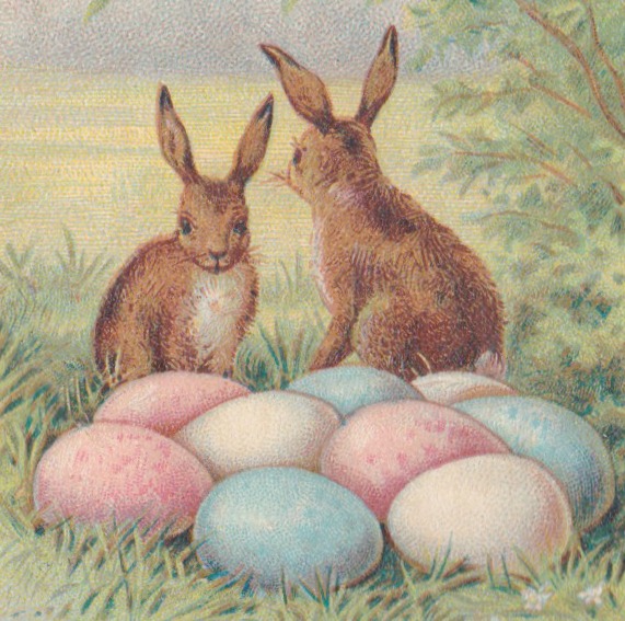 Bunny