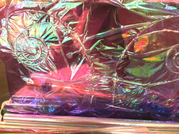 61C6F800-EDD5-42FF-A3D8-1F6F00FB5DE6