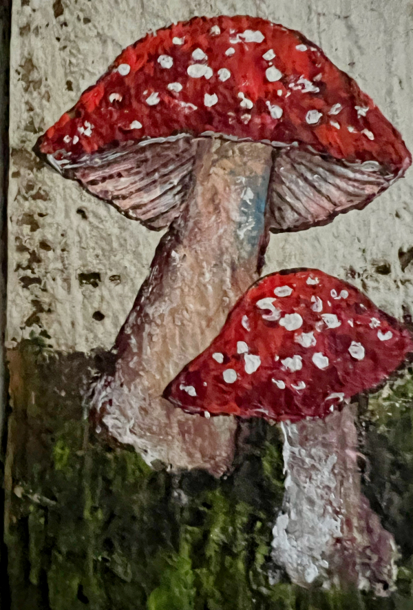 9DCFB68E-6E1D-40E6-8EA5-3C6F0117FB8E