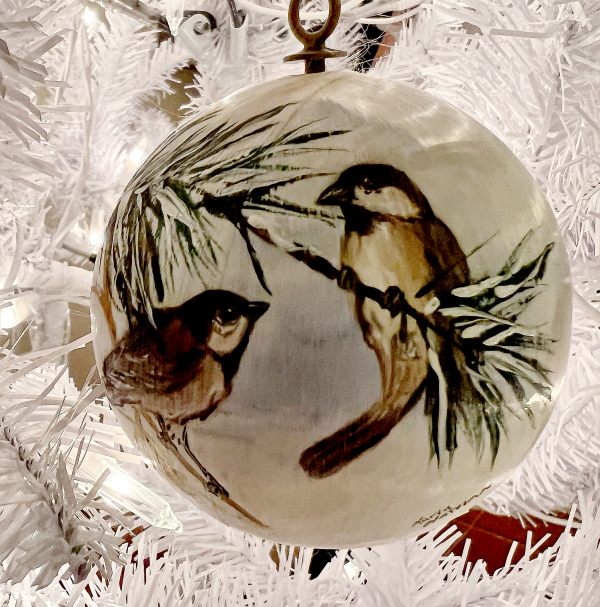 Enlight1554