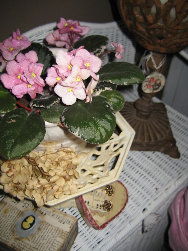 Bath_shoot_009