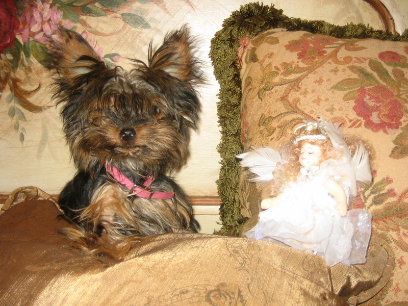 Berta_and_angel_002_1