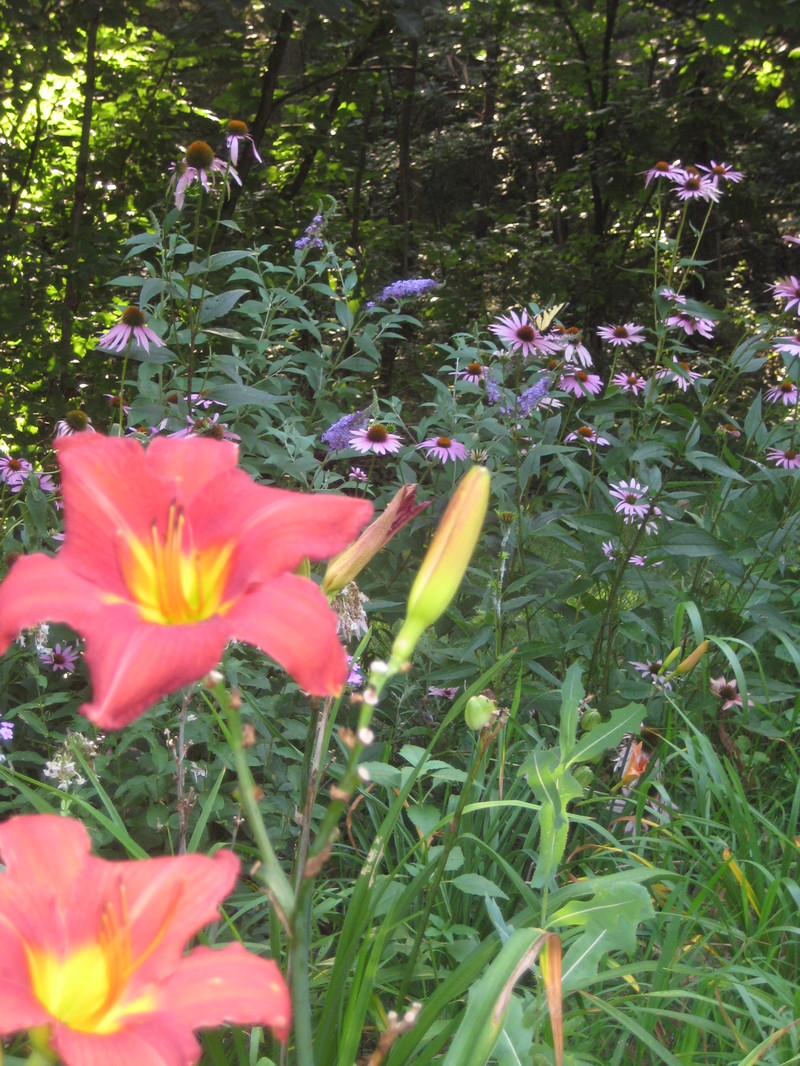 Beth_day_017