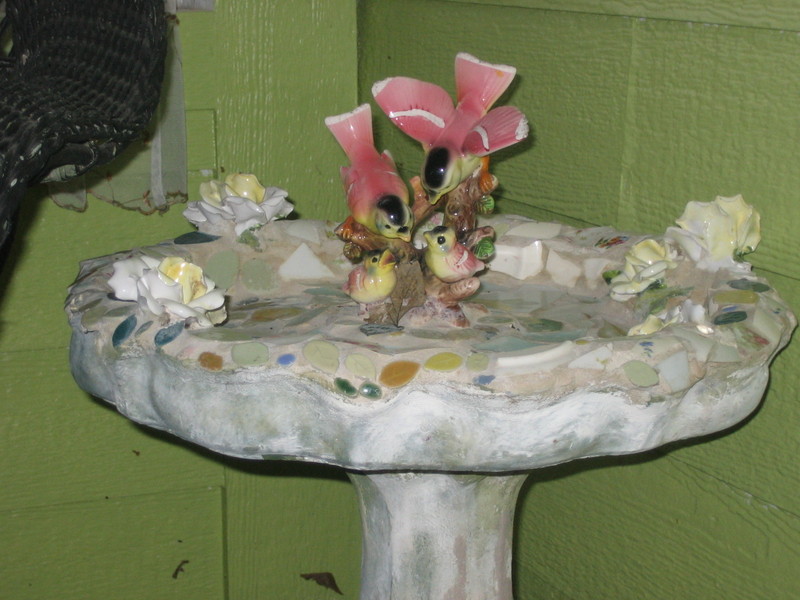Bird_bath