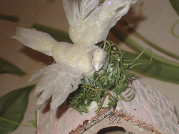 Birdhouse_011