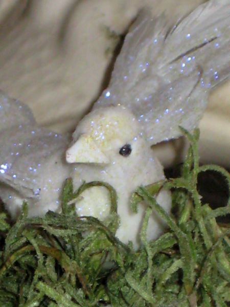Birdhouse_297